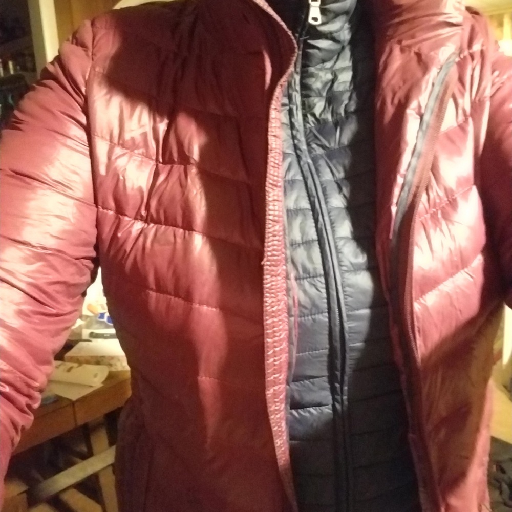Down jacket - Picture 5 of 7